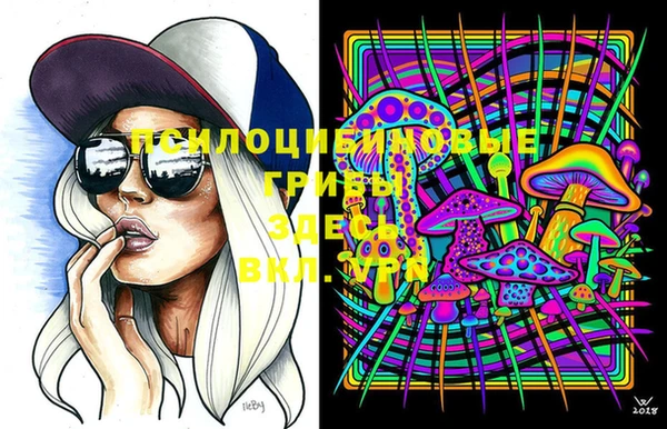 бутират Инсар