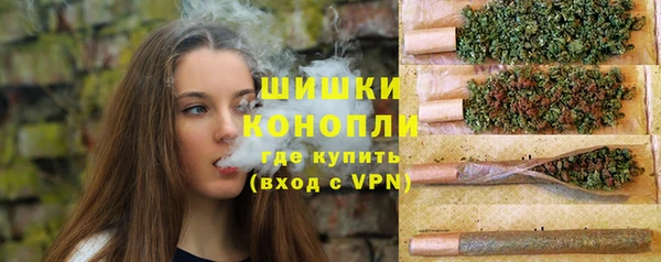 бутират Инсар