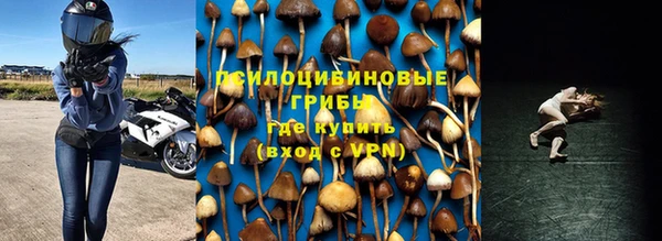 герыч Иннополис